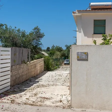 L'ulivo San Lorenzo Reitani